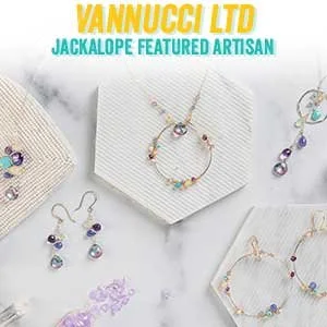 https://www.vannucciltd.com (Copy)