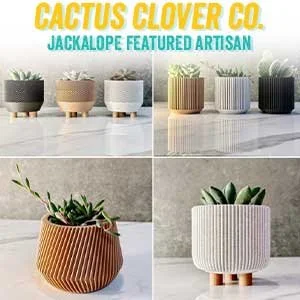 cactusclover.jpg