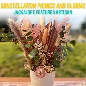 constellationpicnics.jpg