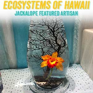 Ecosystems of Hawaii