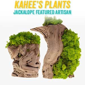 https://kaheesplants.com/products/moss-plant-l-natural-preserved-reindeer-lime-green-moss-art-free-shipping