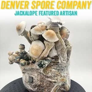 denverspore.jpg