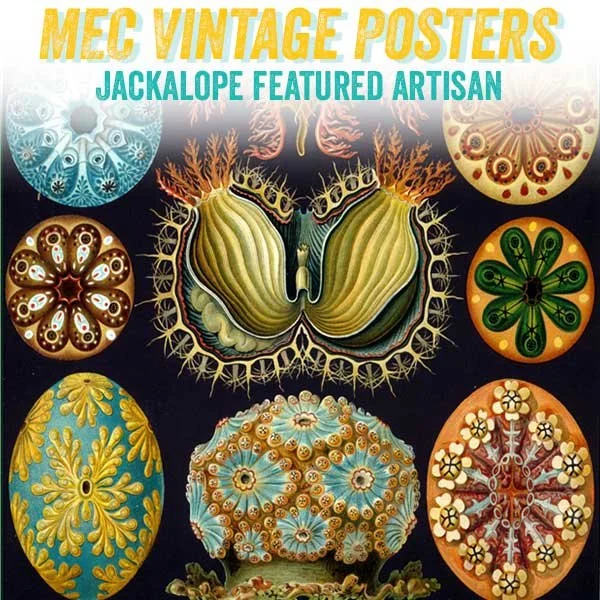 mecvintageposters.jpg