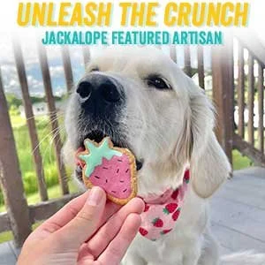 unleashthecrunch.jpg