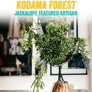 kodamaforest.jpg