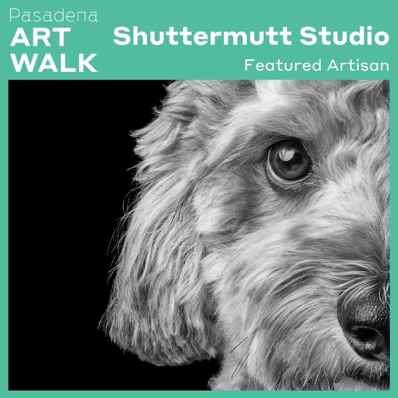 Shuttermutt Studio button.jpg
