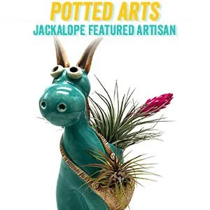 pottedarts.jpg