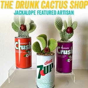 thedrunkcactusshop.jpg