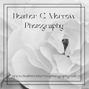 HeatherCMorrowPhotography3.jpg.webp