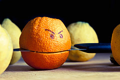Photo Courtesy of Flickr