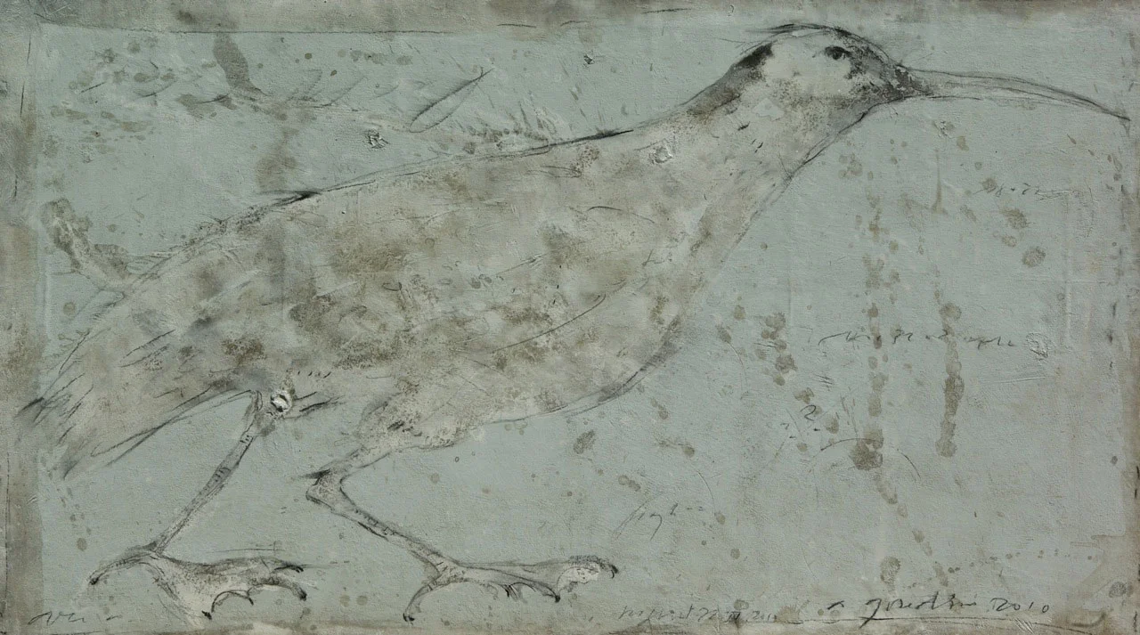 G0002_mouette.jpg