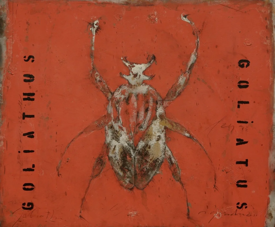 Goliathus Goliatus