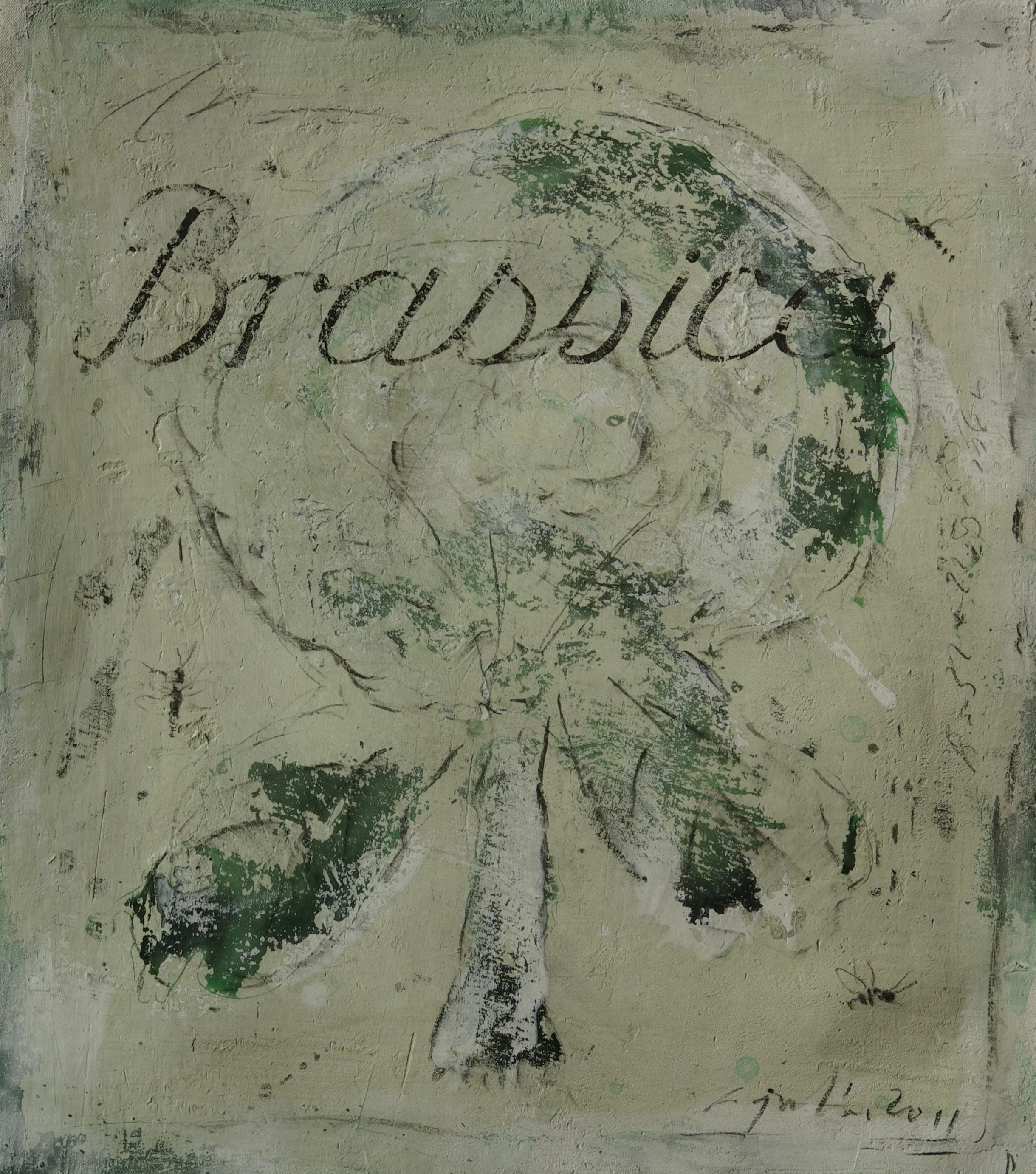 Brassica