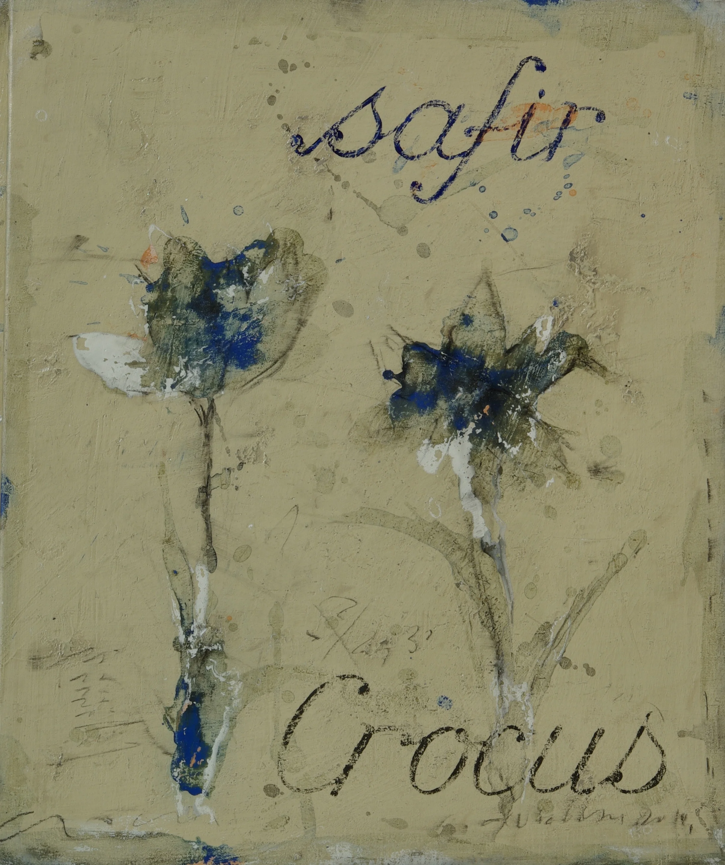 Crocus Safir