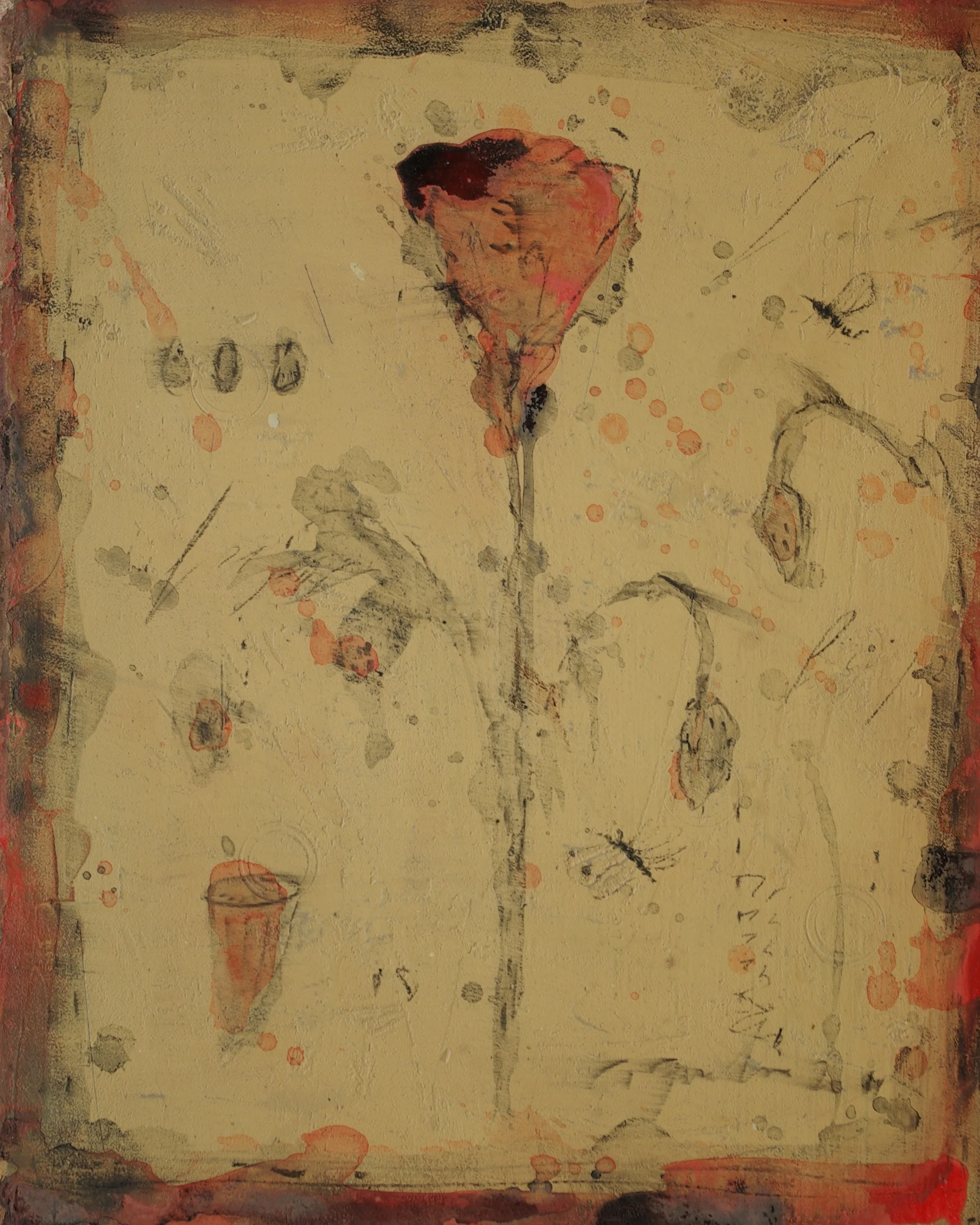 Papaver I