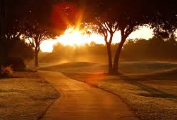 826: 5 Steps for Turning a Cra**y Morning into an Amazing Day