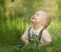 385: Pillars of a Joyous Life: Joy