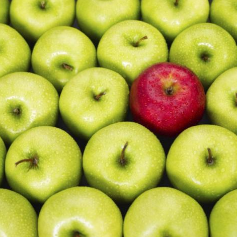 One Way to Determine If You Are a Leader or a Follower