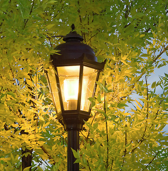 440: What's More Important, a Thought, or the Person Having It: Living the Tao