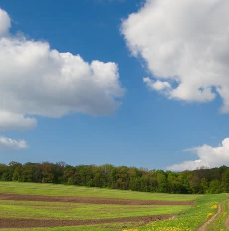 891: An Exercise for Understanding Thoughts as Things: a Meditation