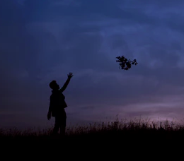 445: Attachment Causes Pain: Living the Tao