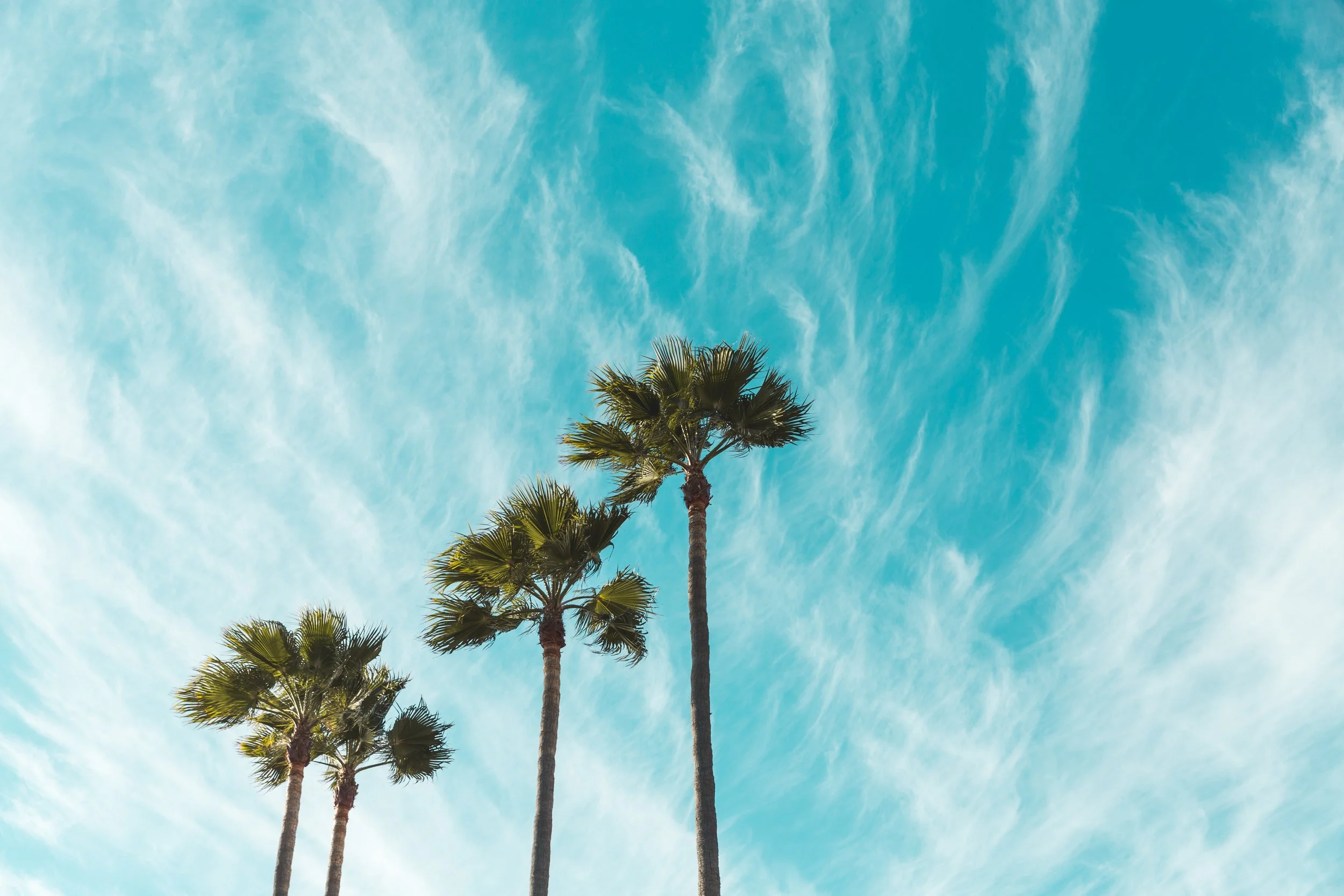 502: Rigid or Flexible, Which is Right For You - Living the Tao