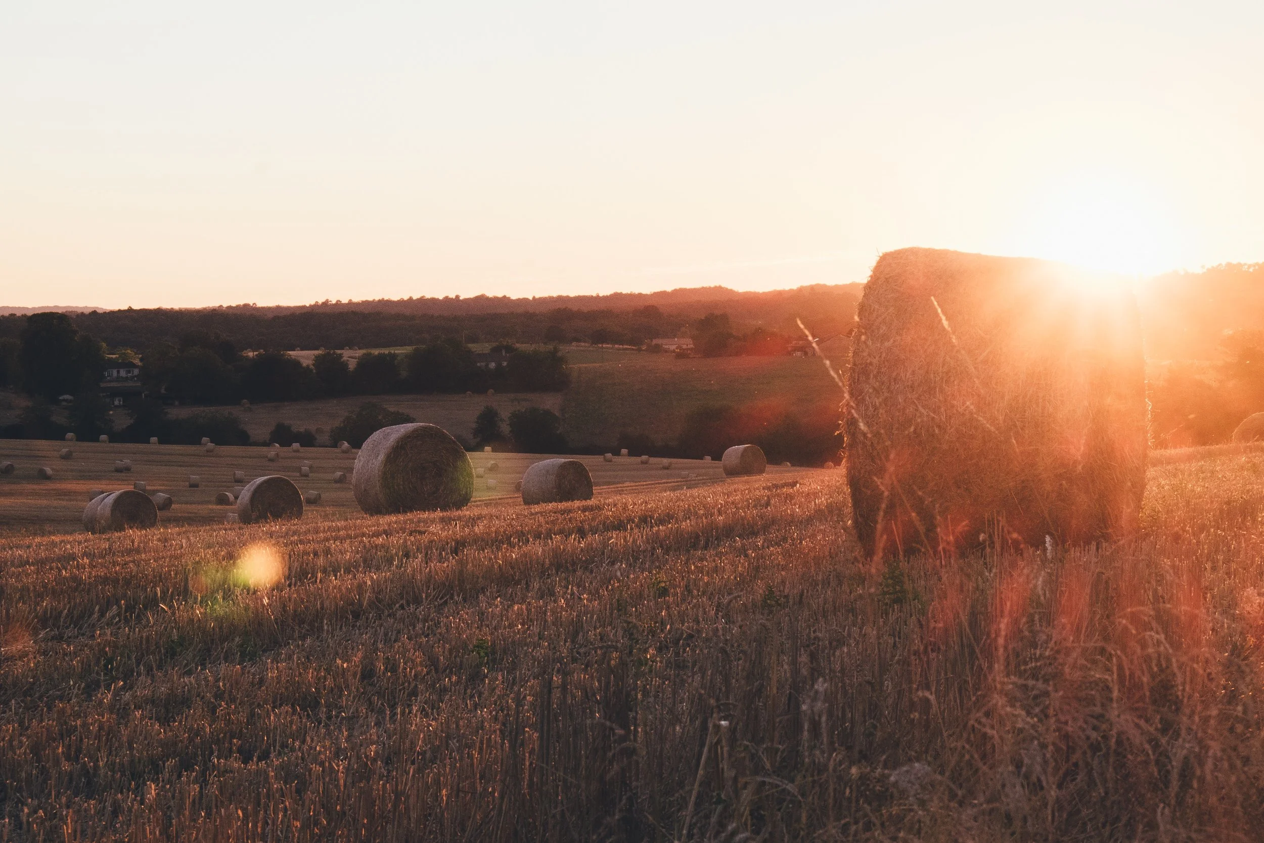 505: A Grudge Will Always Keep You Distanced From Peace - Living the Tao