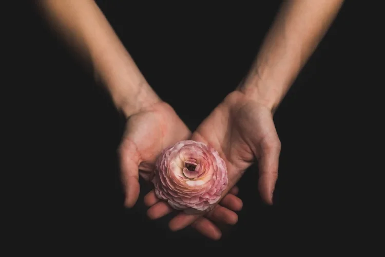 Photo by Matthew Henry on Unsplash
