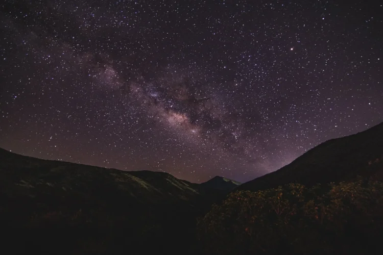 Photo by ryan lange on Unsplash