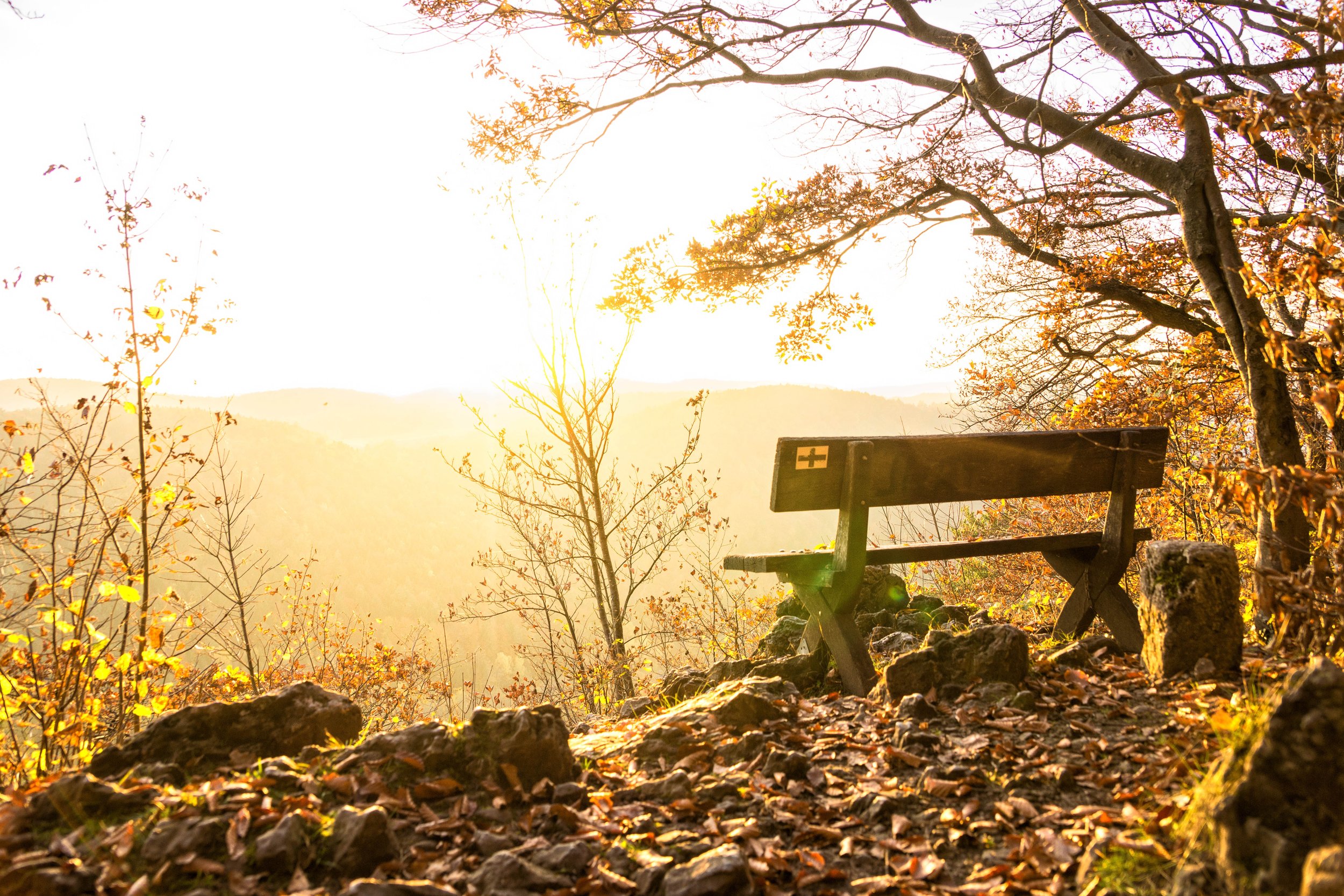 1041: The Benefits of a 5 Minute Meditation