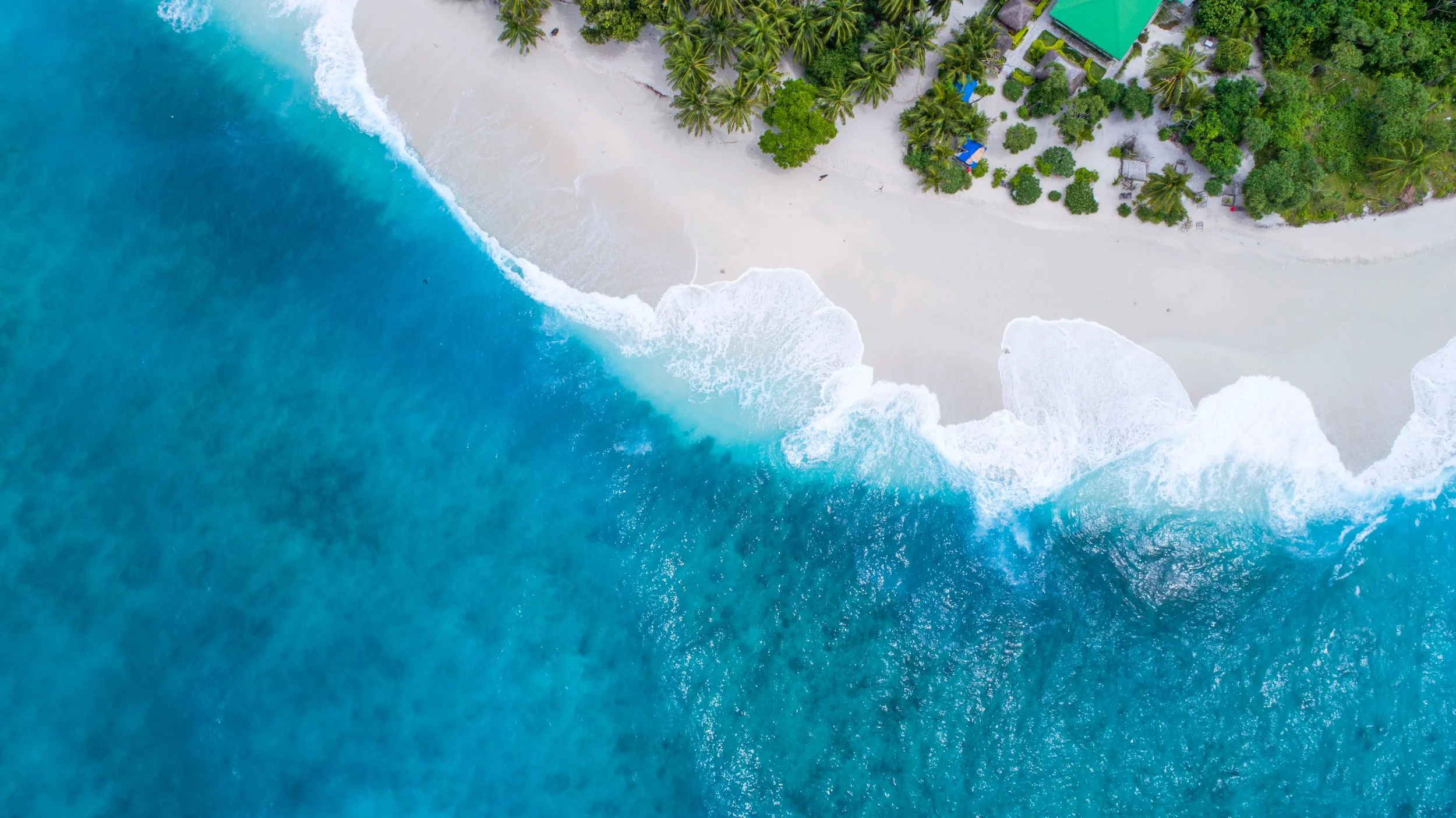 599: Nothing is More Universally Tranquil Than the Sound of Waves on the Shore