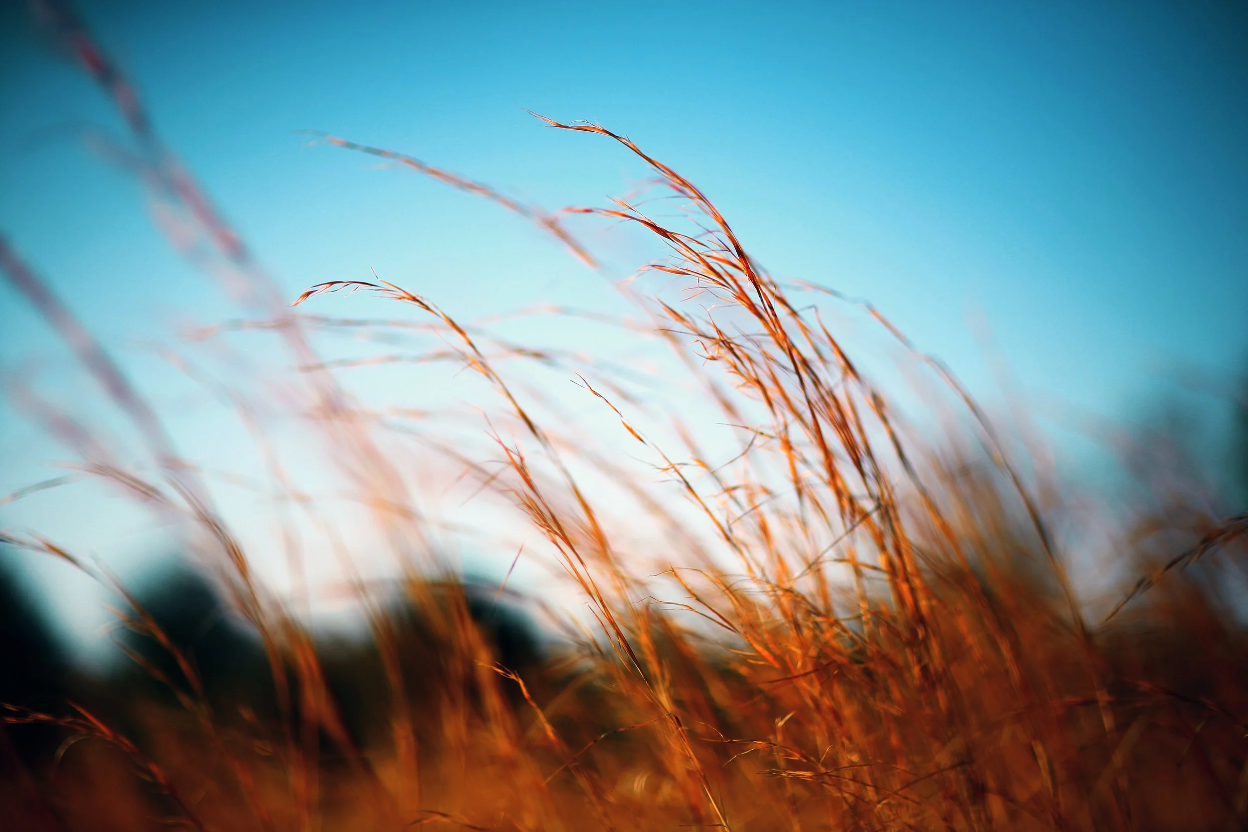 642: Breezy Like Sunday Morning