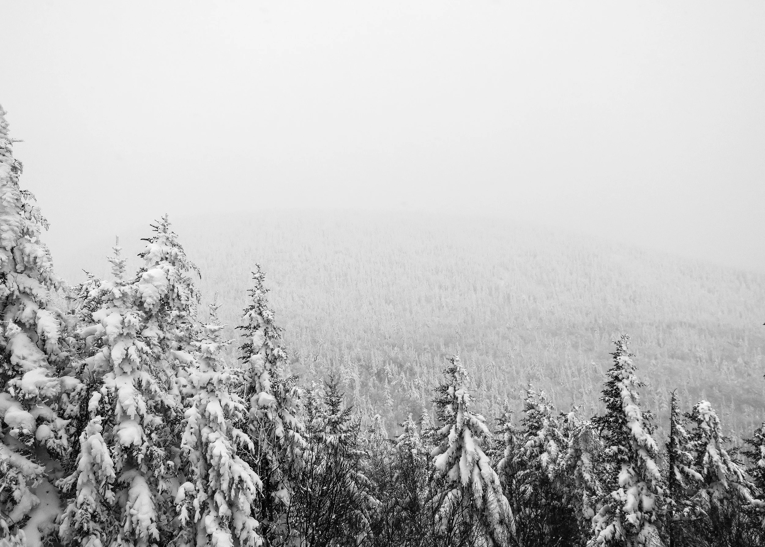 jeremy-kovac-179174-unsplash.jpg