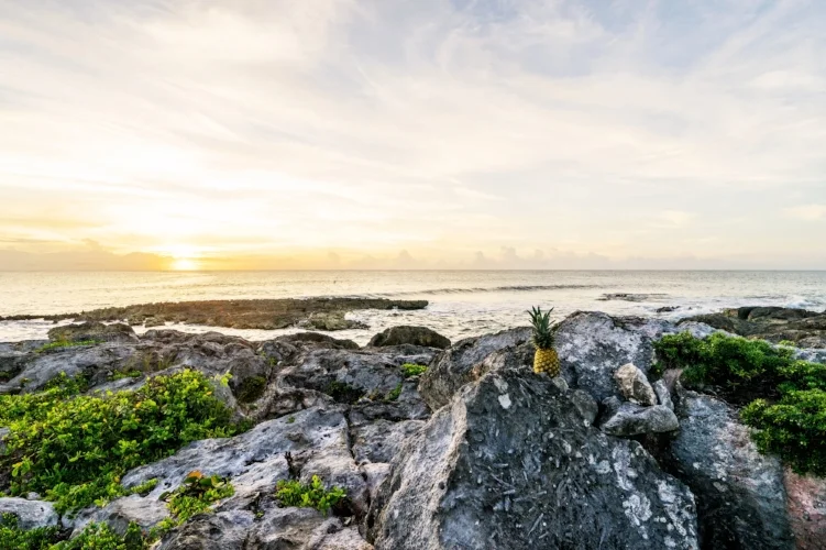 Photo by Christina Sicoli on Unsplash