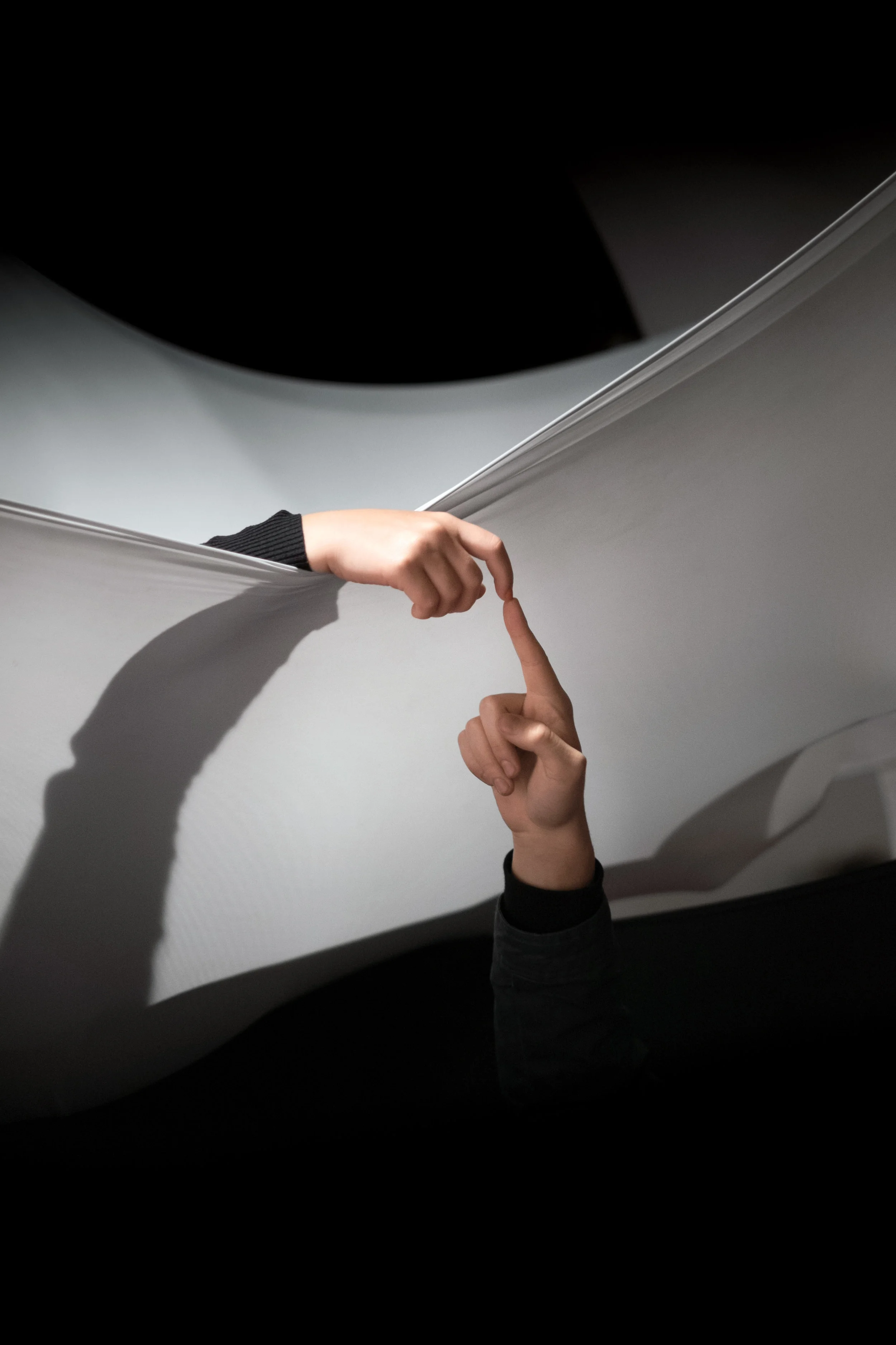 1211: Three Ways to Increase Your Connection to All Life