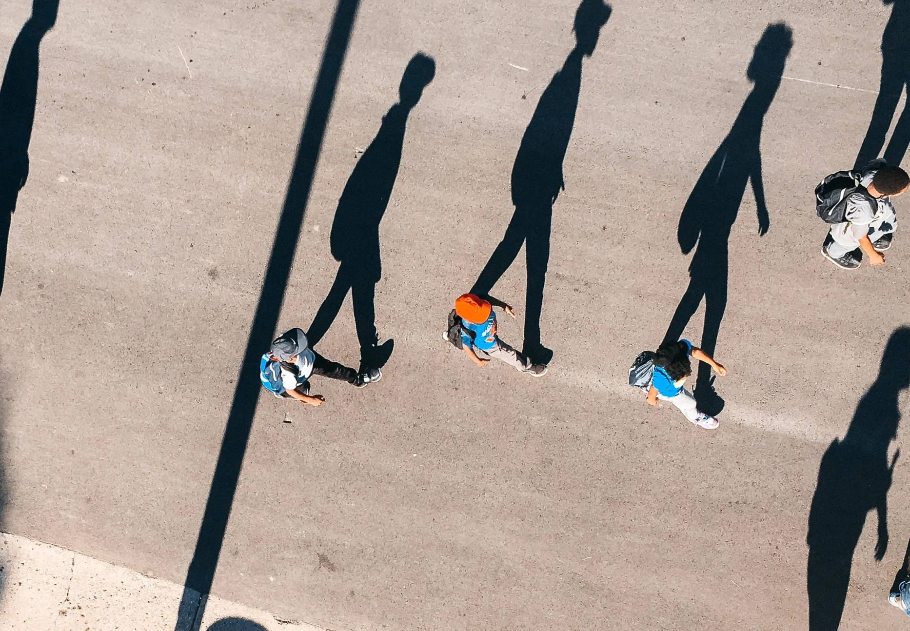 1210: Discovering Who You Are With Help From The Lion's Roar