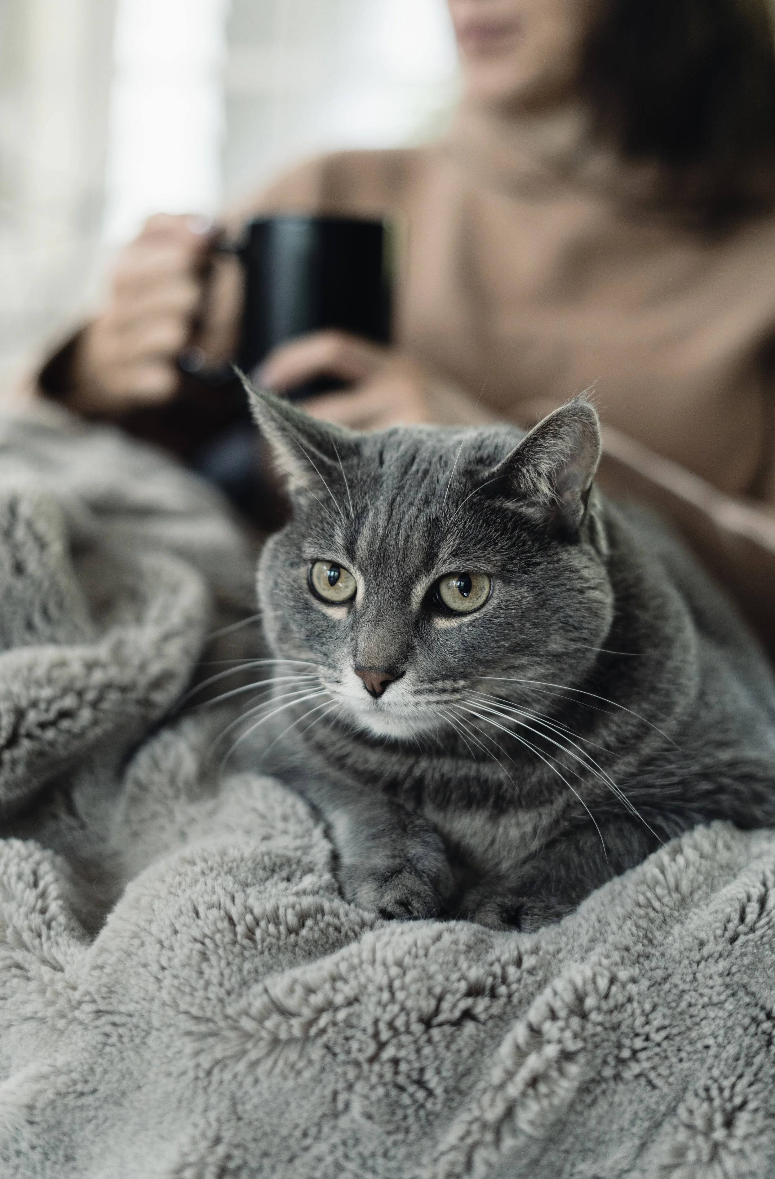 969: The Lure of Comfort