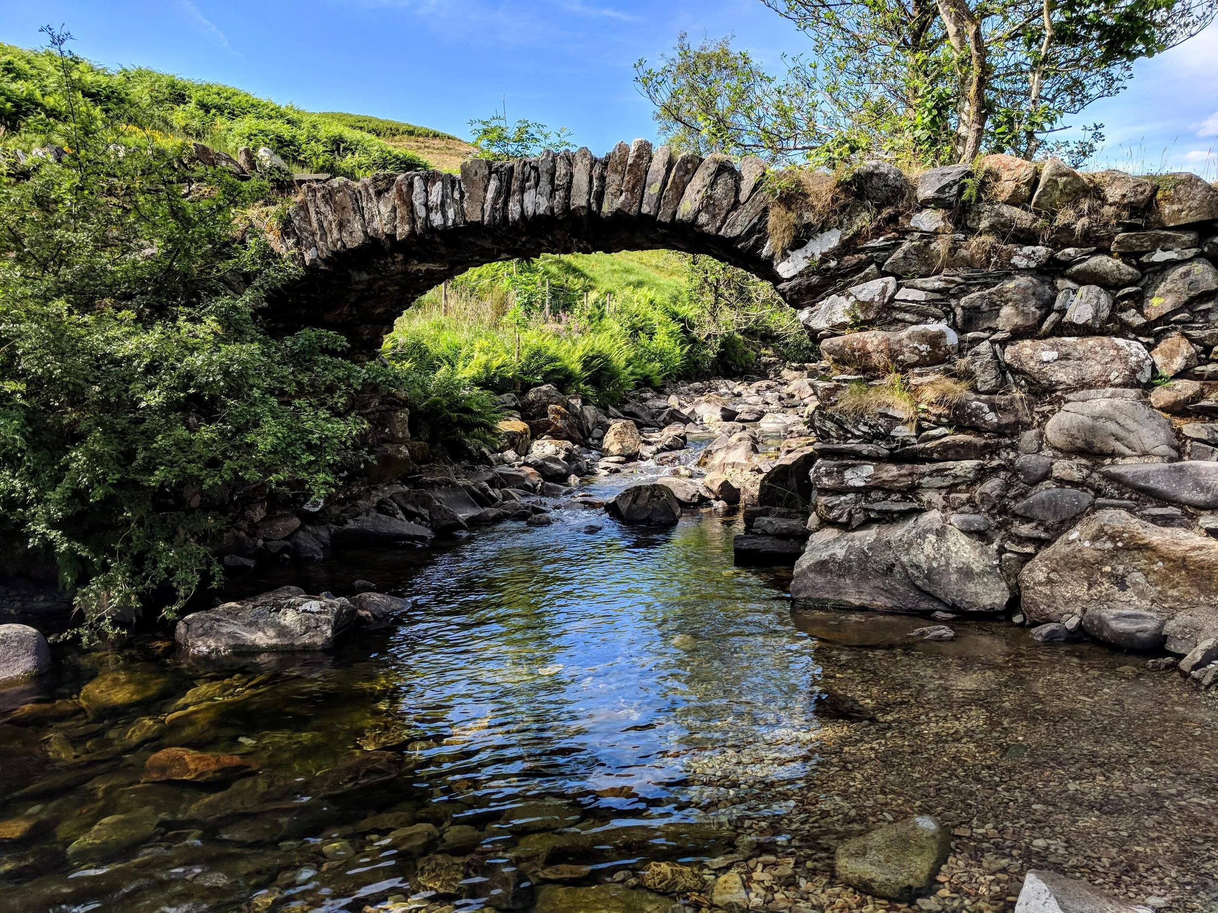 1434 Resting in the River by Thich Nhat Hanh