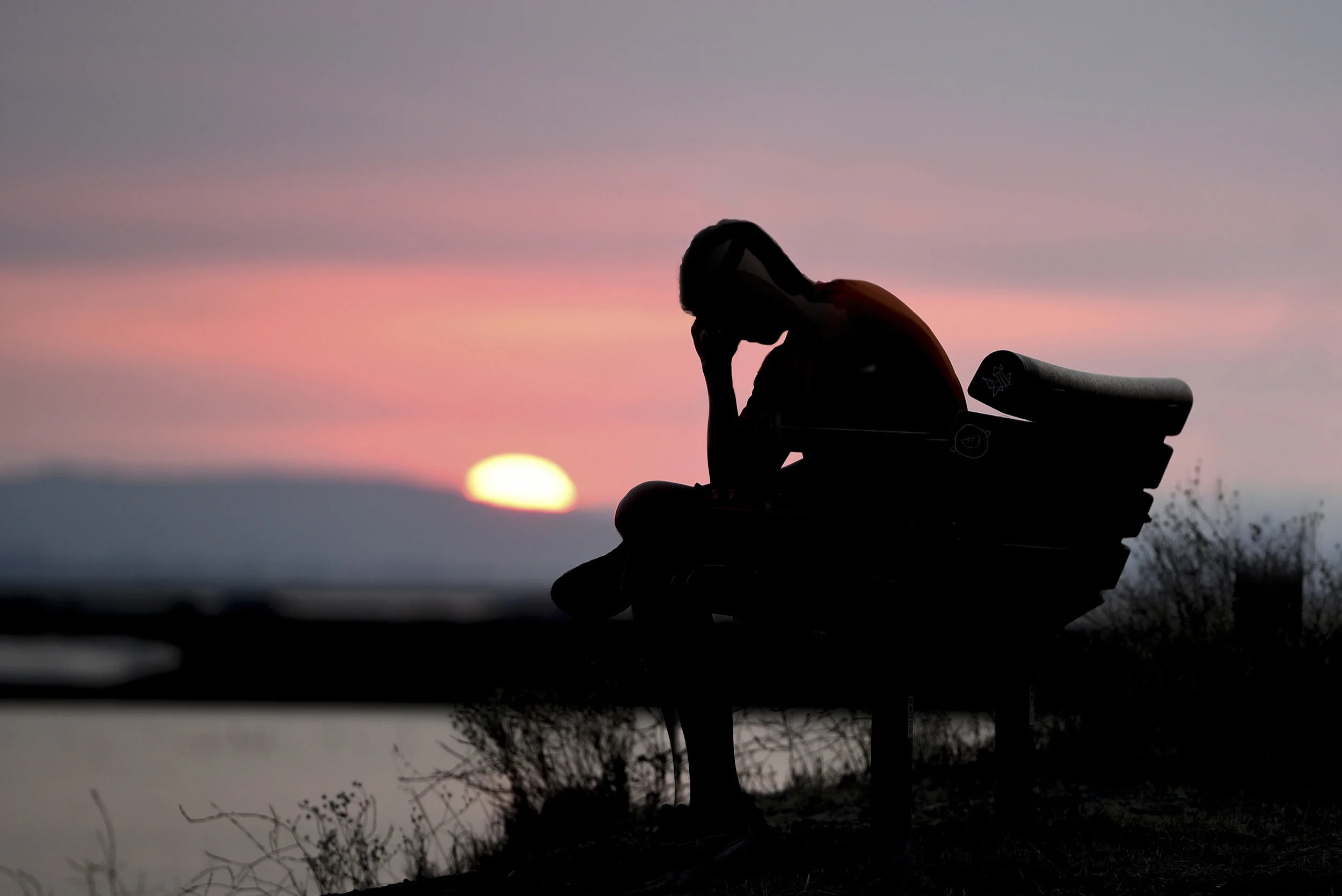 1515: What Meditation Can't Cure by Debra Flics