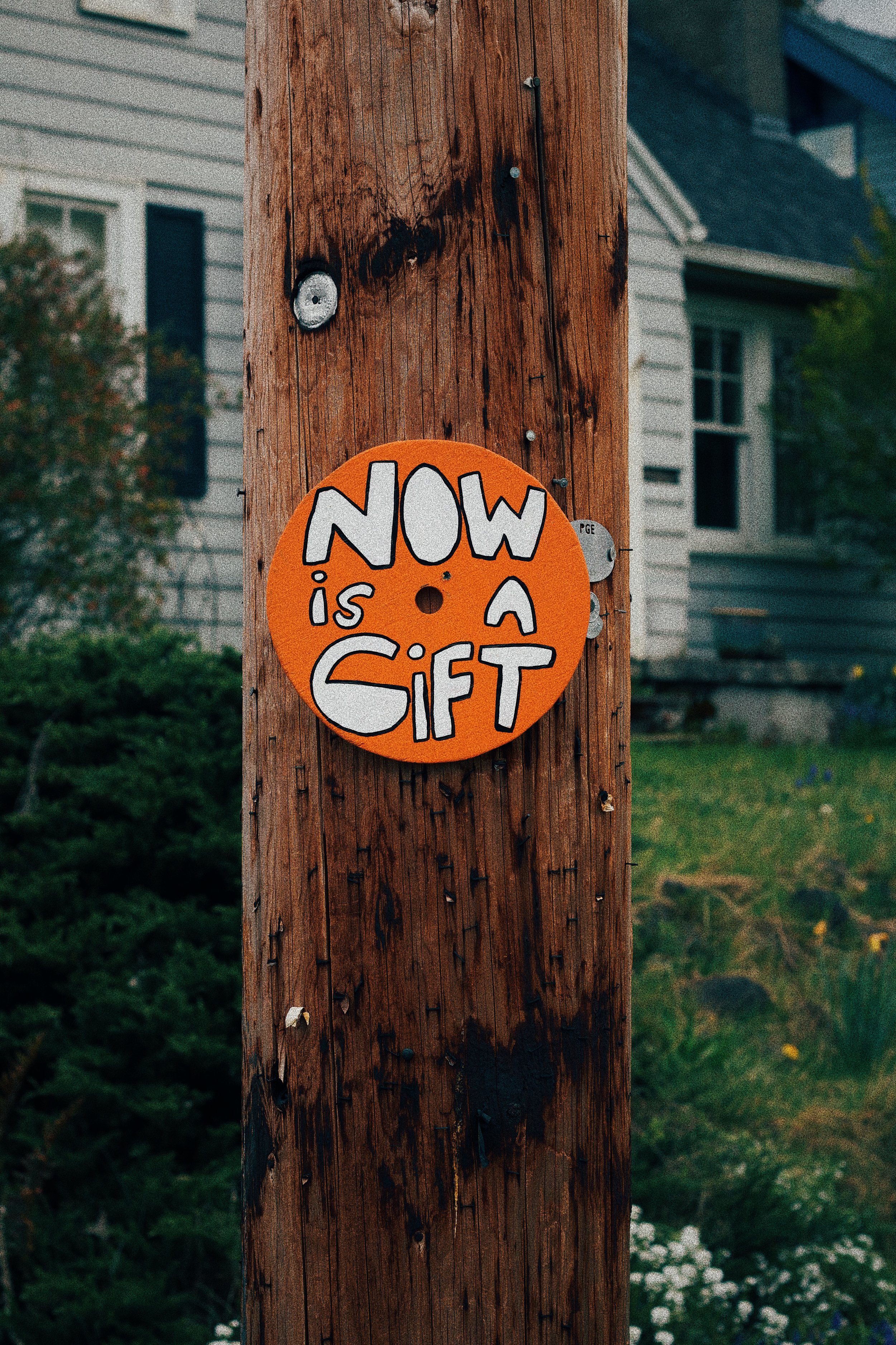 1112: The Calm that comes from Accepting This Moment