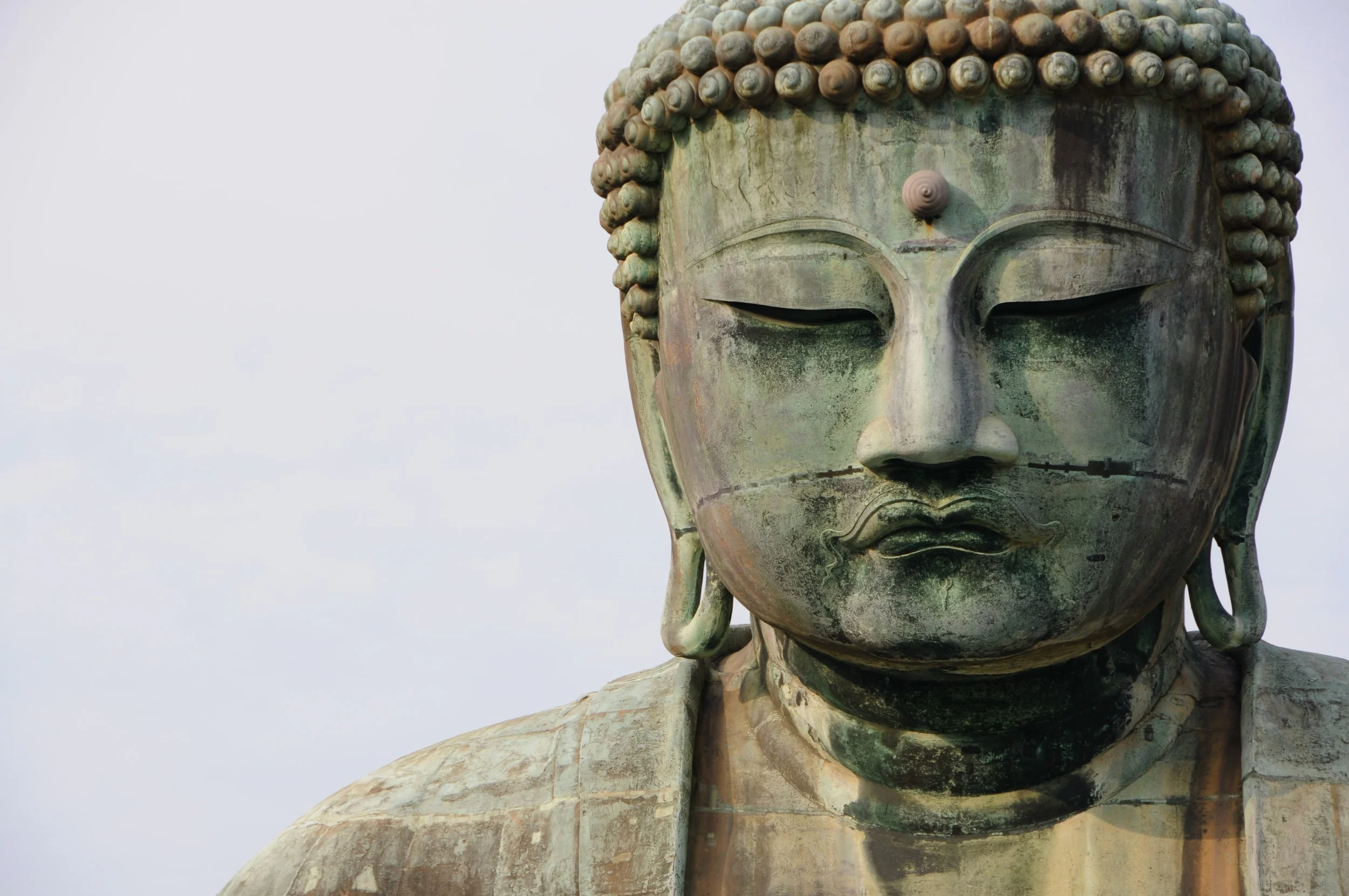 1542: Everything is Enlightenment by Joan Sutherland
