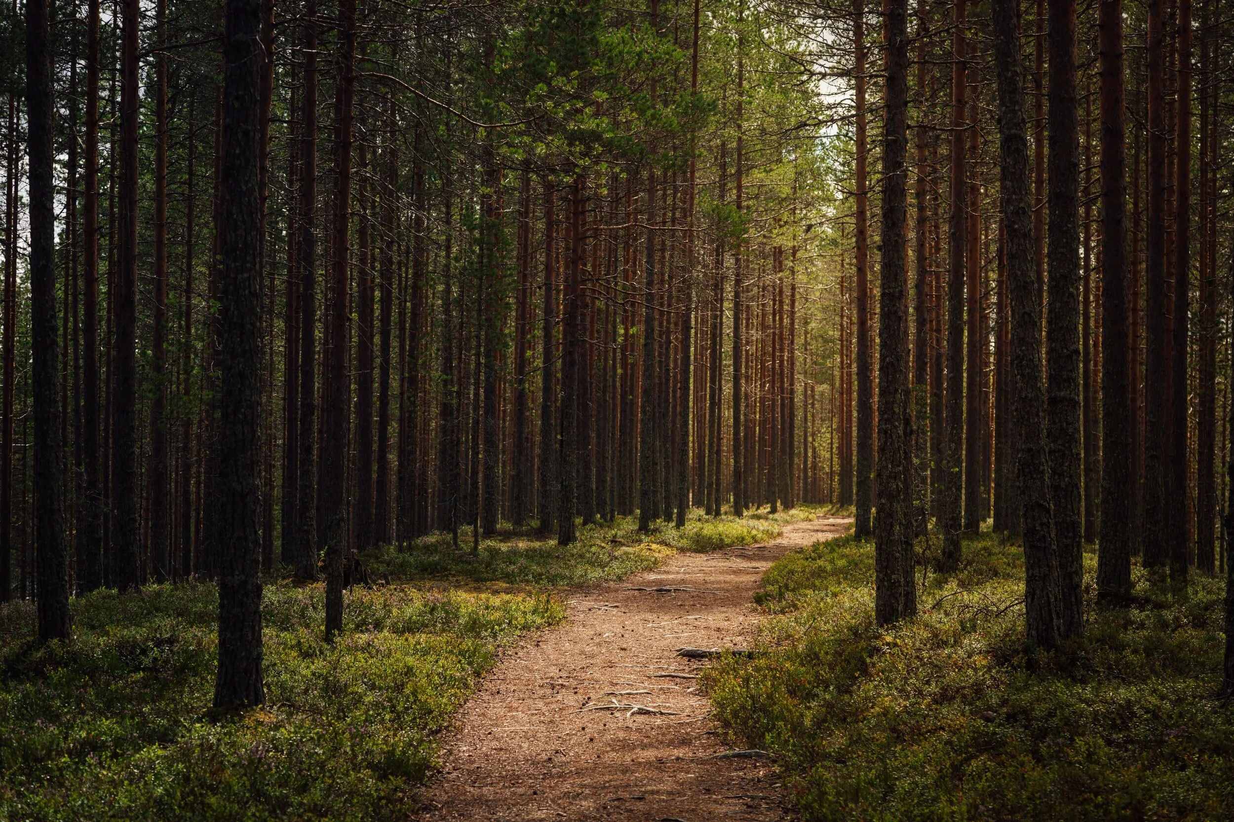 1227: Living an Unplanned Life