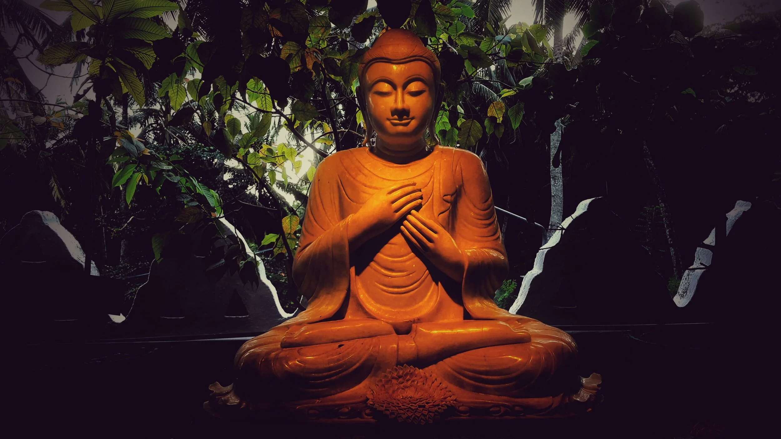 1657: Compassion Week: Compassion and Buddhism