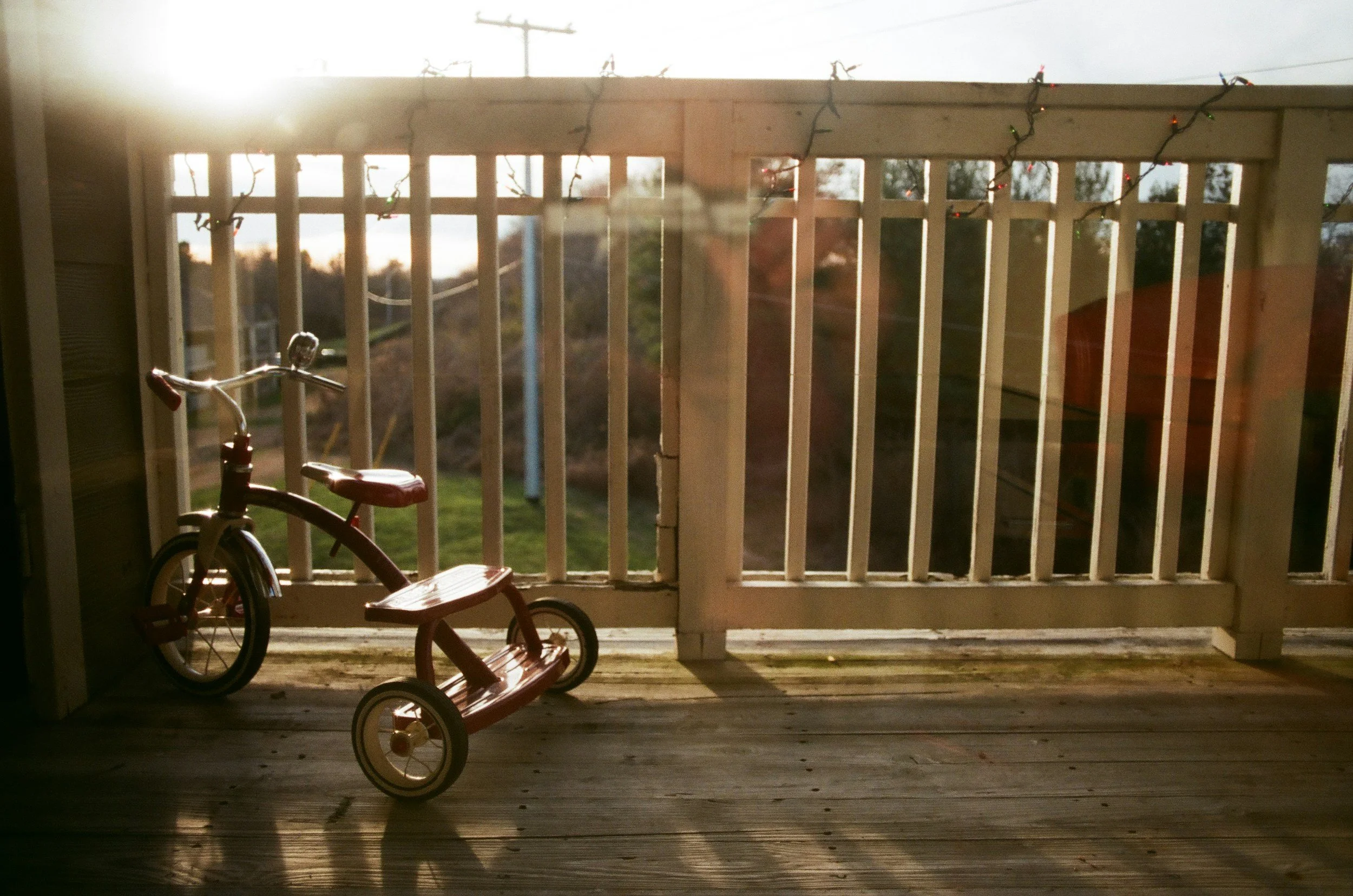 2078: Tricycle Week: The Joy of Joy by Daisy Hernandez