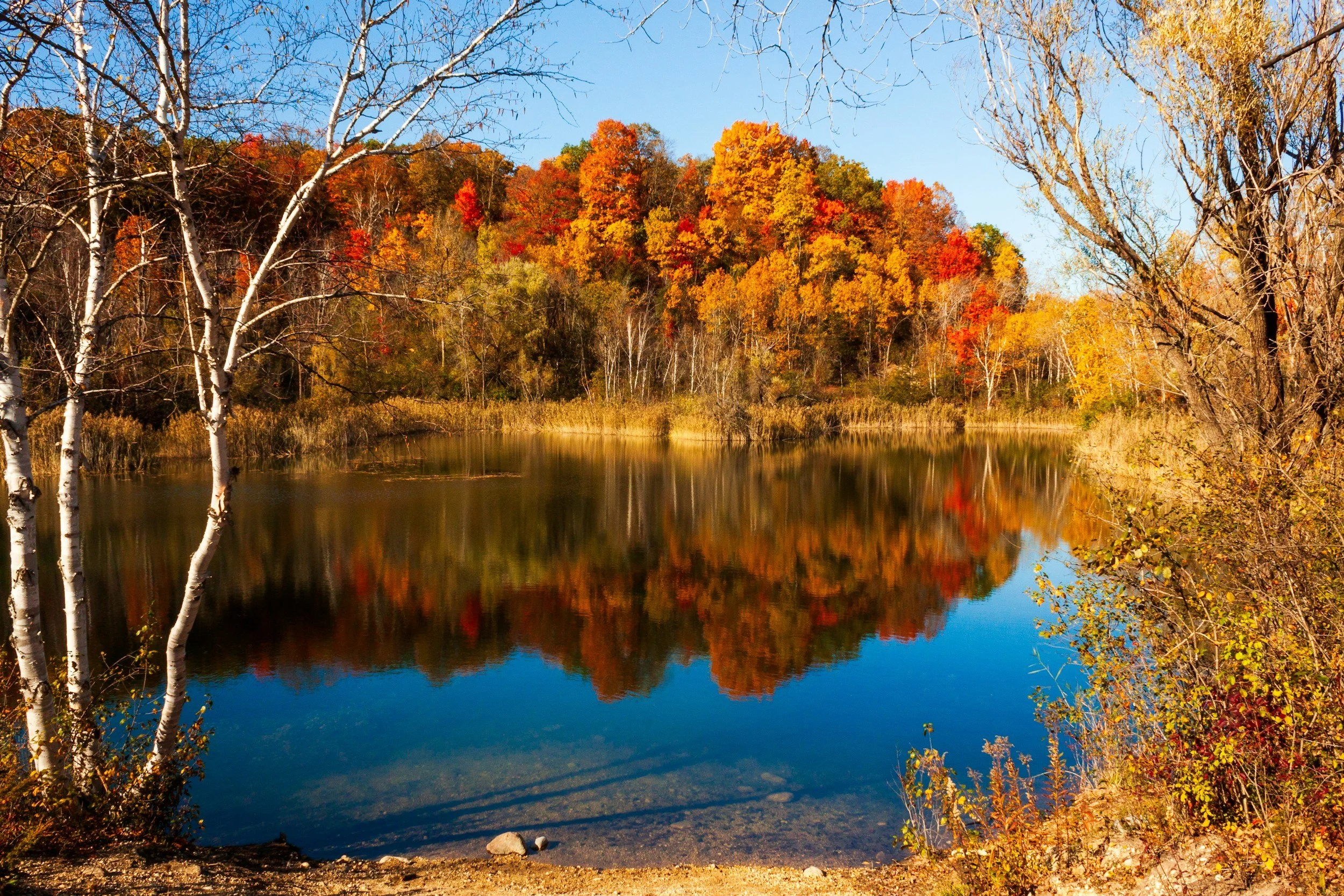 1768: Nature’s Lesson: The Beauty of Life’s Steady Transitions