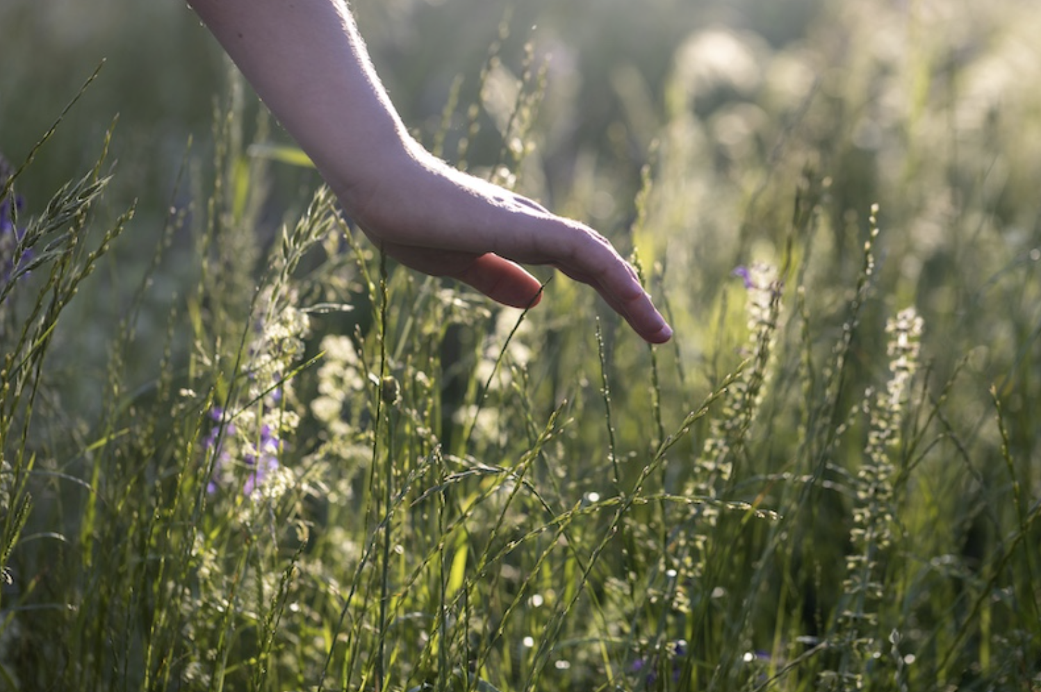 ZC 2139: Tricycle Tueday - Connecting with the Root of Our Being