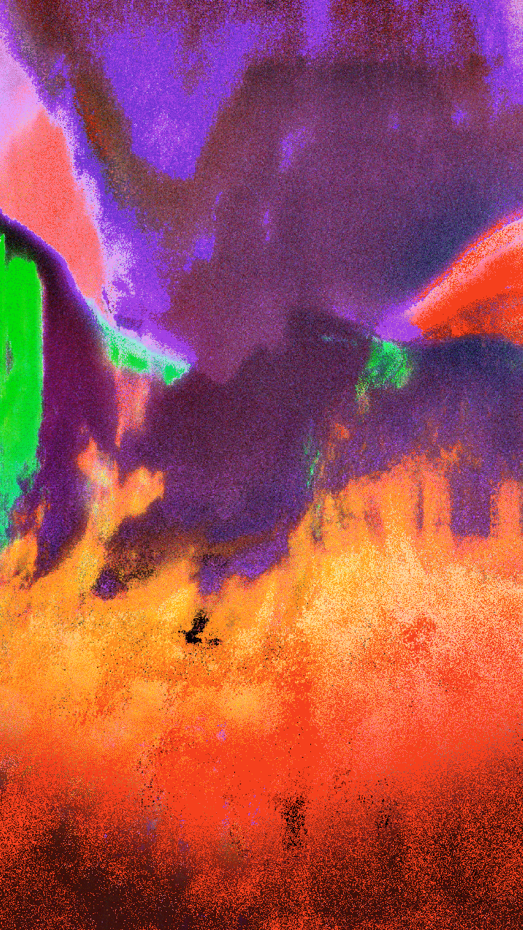 x1.gif