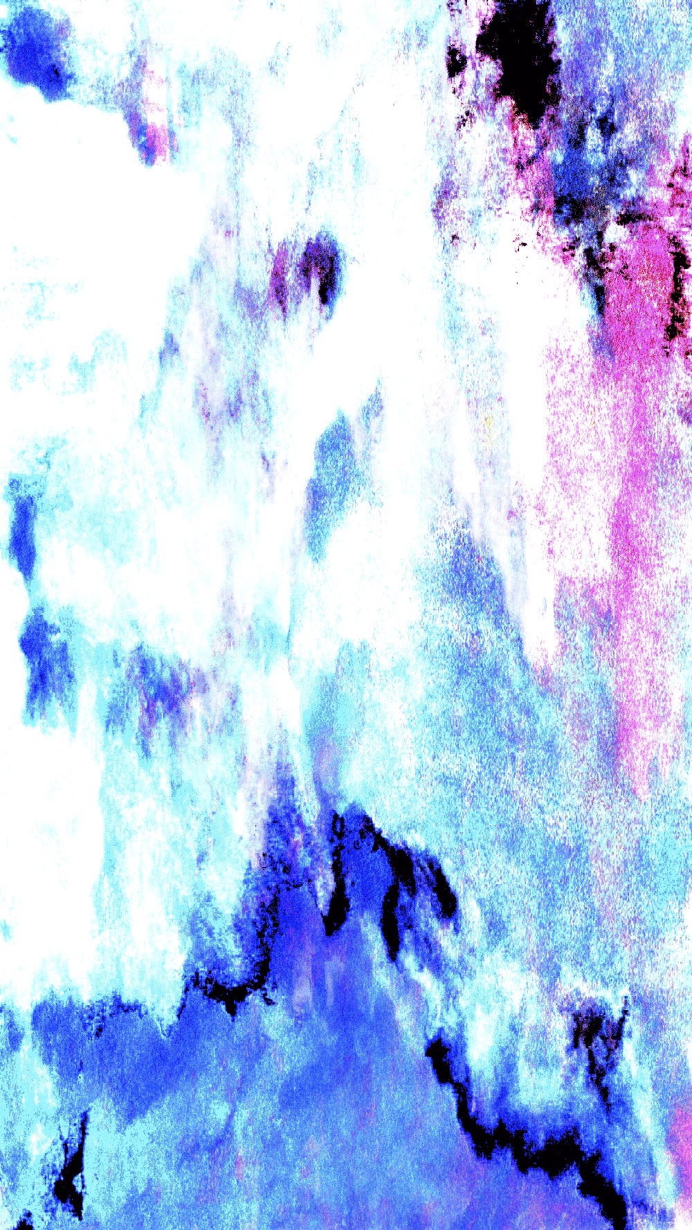 x4.gif