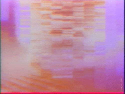 18.1.gif