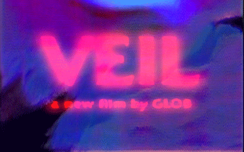 veil.gif